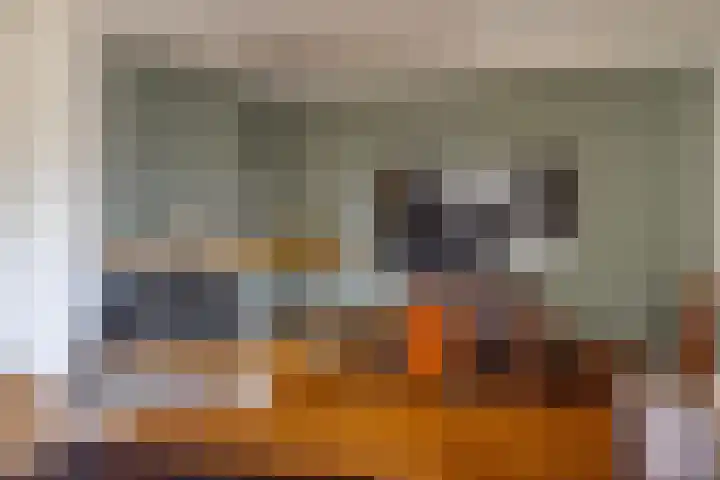 Heemraadstraat 42 Waspik thumbnail 5