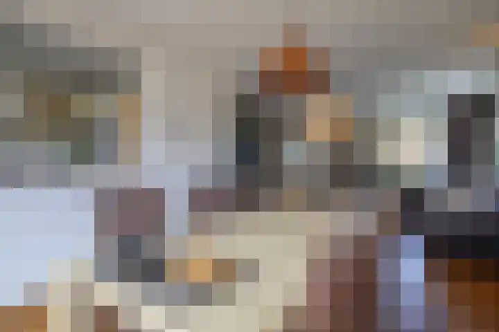 Heemraadstraat 42 Waspik thumbnail 8