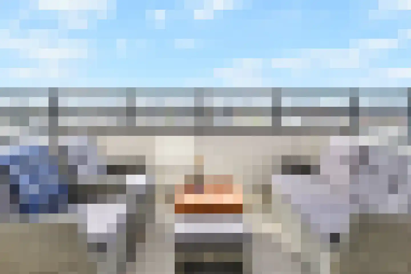Heemraadstraat 46 Rijswijk thumbnail 23