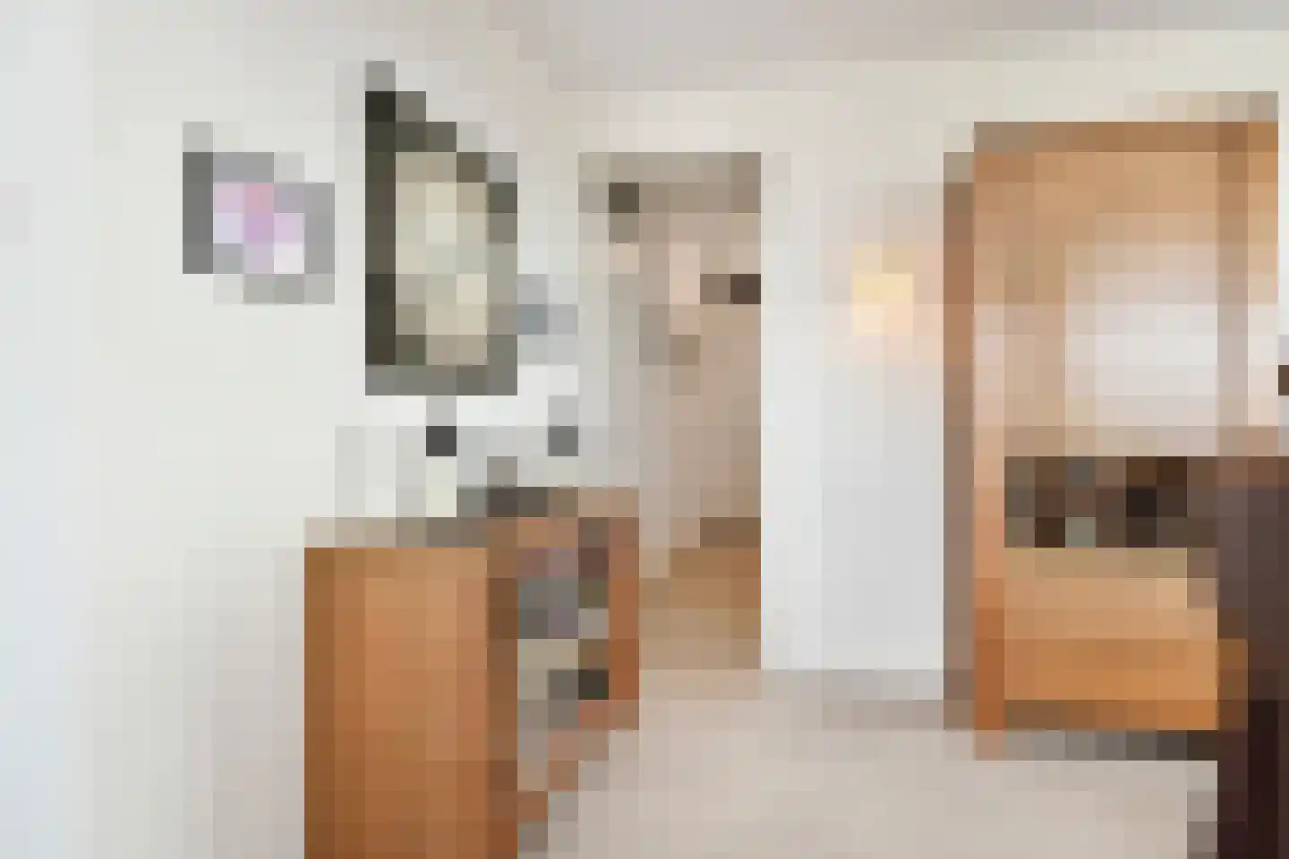 Heemraadstraat 46 Rijswijk thumbnail 28