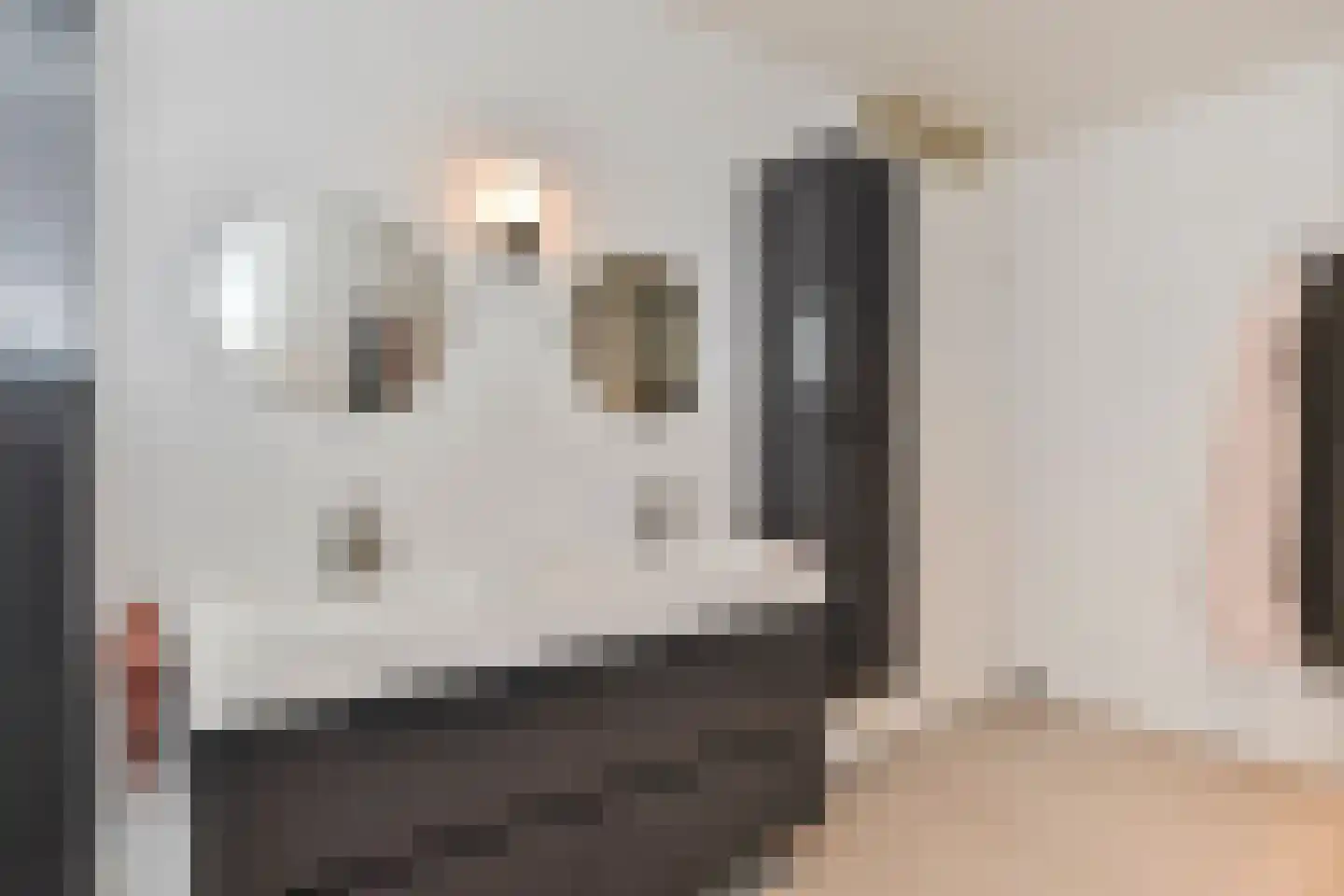 Heemraadstraat 46 Rijswijk thumbnail 33