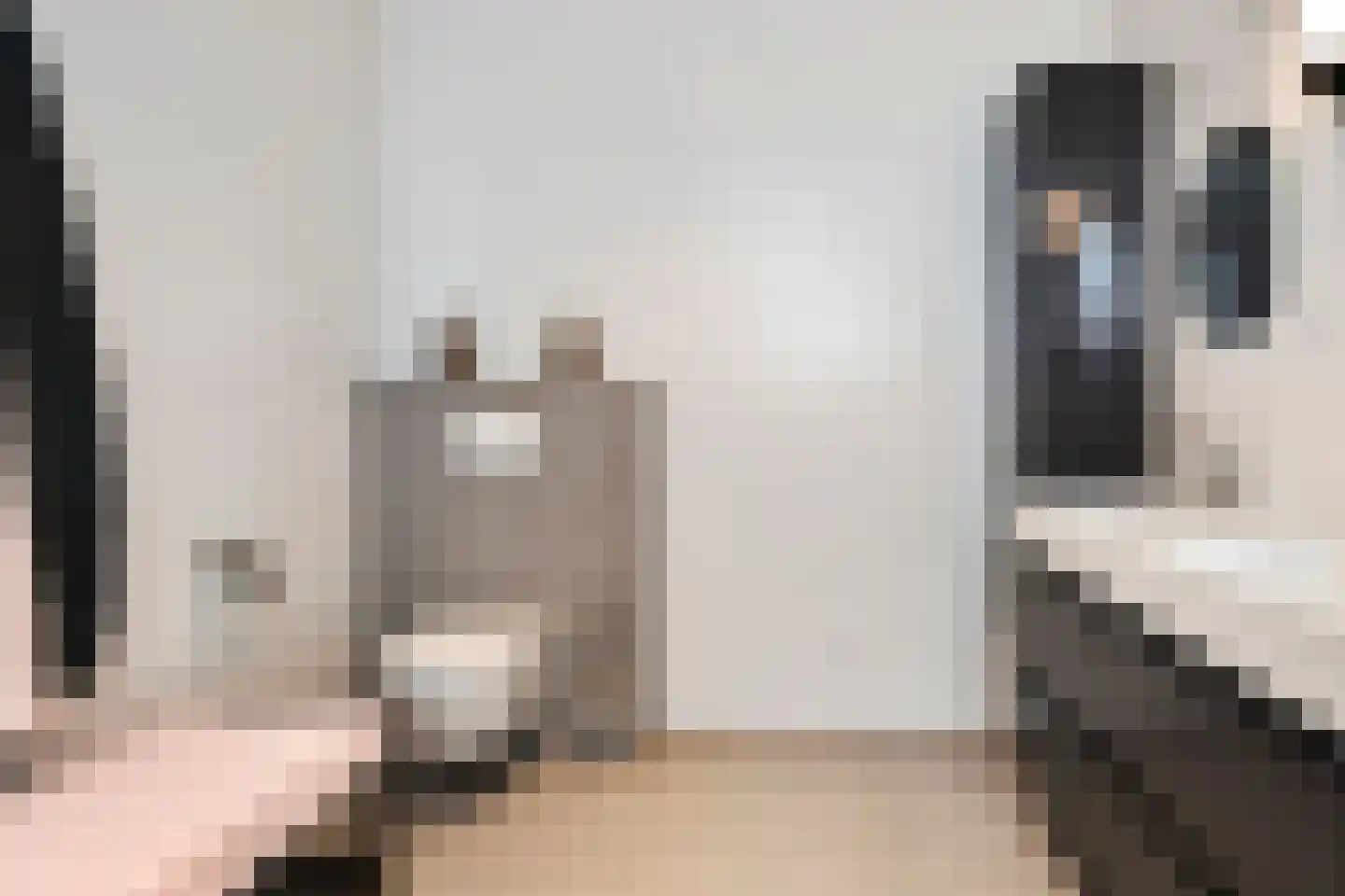 Heemraadstraat 46 Rijswijk thumbnail 34