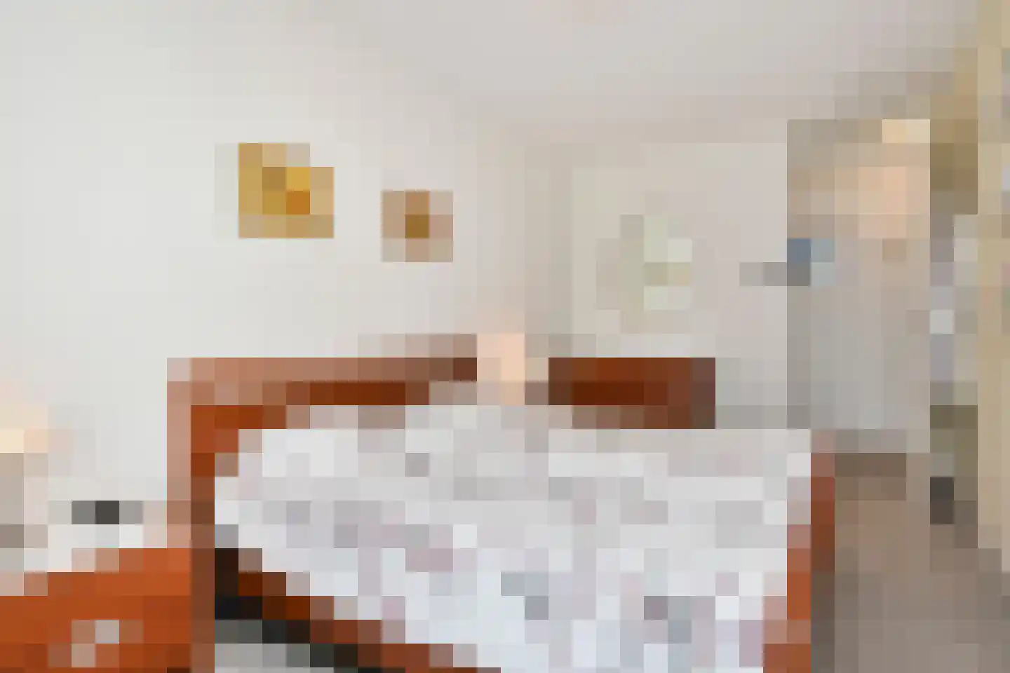 Heemraadstraat 46 Rijswijk thumbnail 37