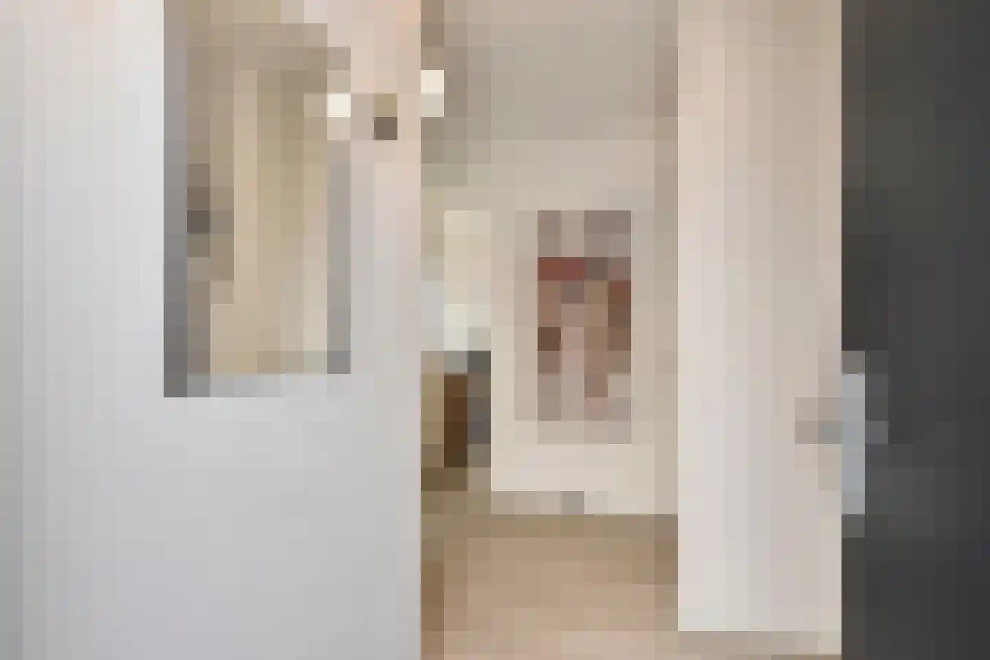 Heemraadstraat 46 Rijswijk thumbnail 39