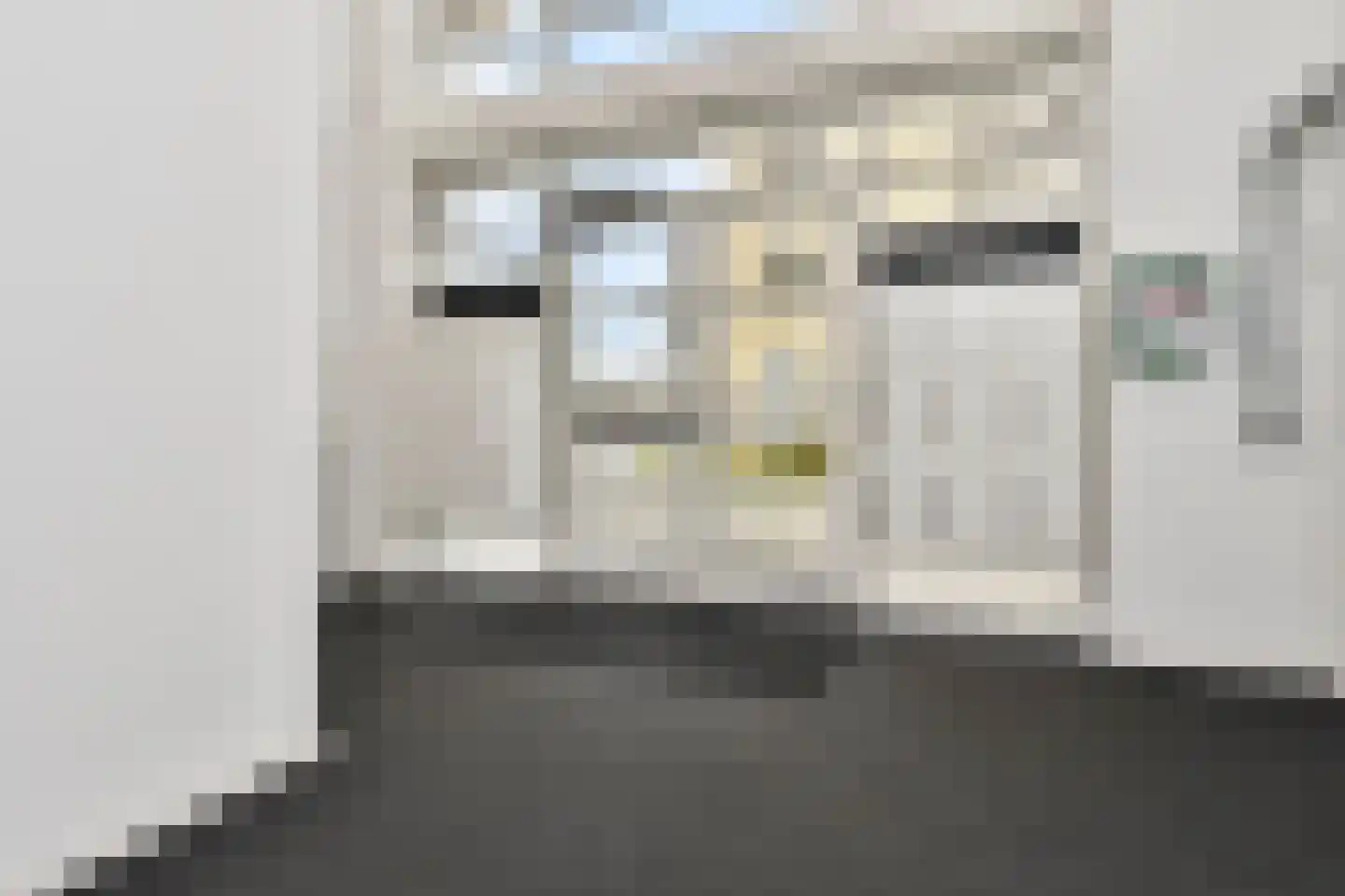 Heemraadstraat 46 Rijswijk thumbnail 8