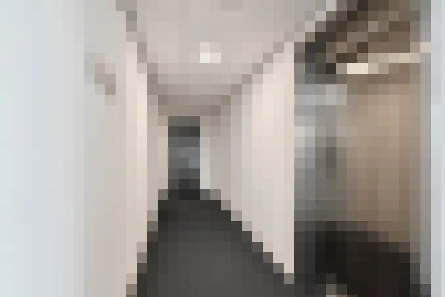 Heemraadstraat 46 Rijswijk thumbnail 9