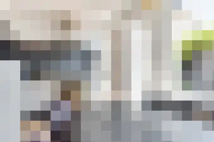 Heemraadstraat 5 Alkmaar thumbnail 10