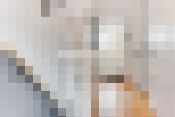 Heemraadstraat 5 Alkmaar thumbnail 19