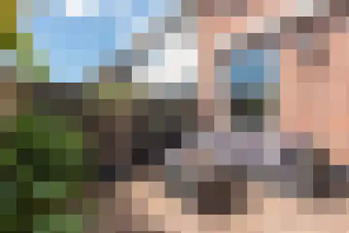 Heemraadstraat 5 Alkmaar thumbnail 33
