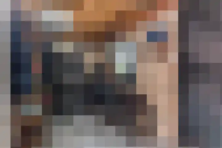 Heemraadstraat 5 Alkmaar thumbnail 37