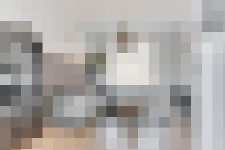 Heemraadstraat 5 Alkmaar thumbnail 4