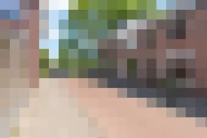 Heemraadstraat 5 Alkmaar thumbnail 41
