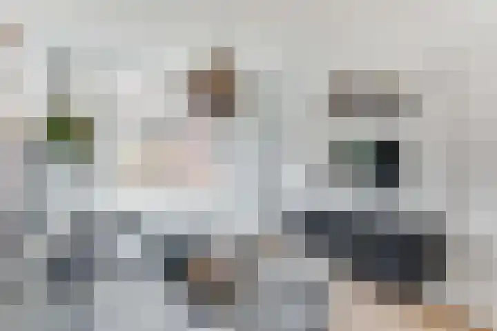 Heemraadstraat 5 Alkmaar thumbnail 6