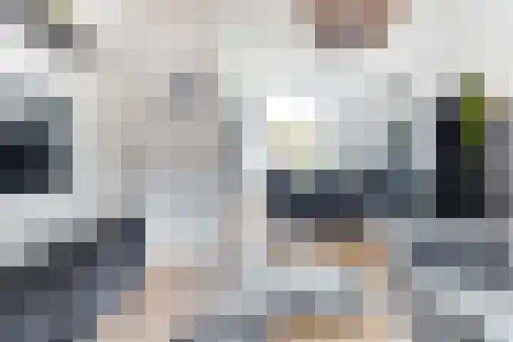 Heemraadstraat 5 Alkmaar thumbnail 7