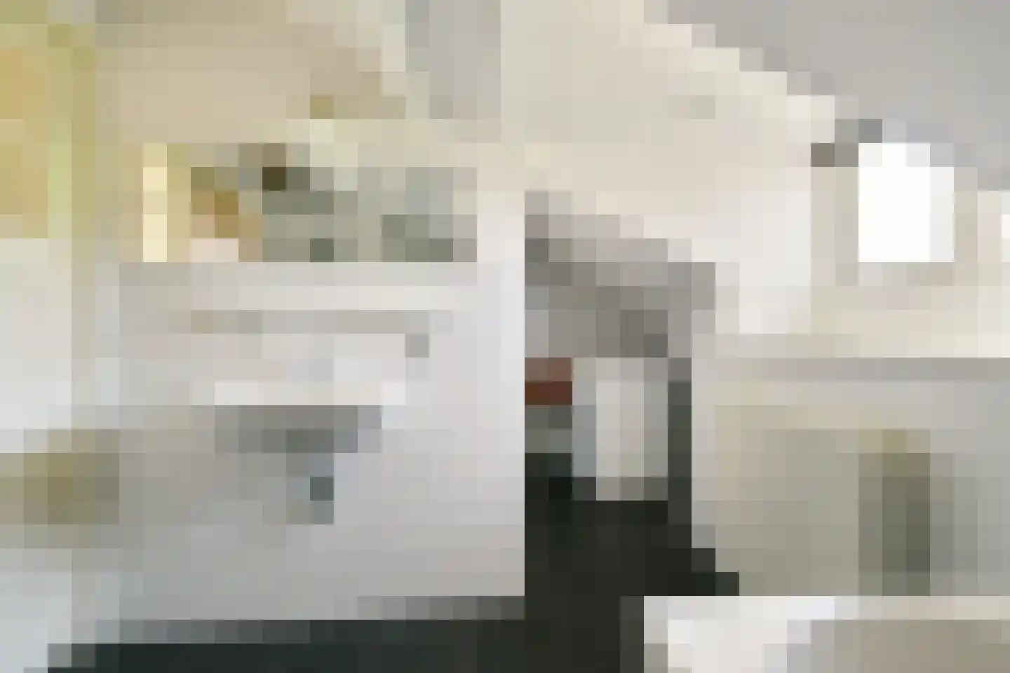 Heemraadstraat 5 Vlaardingen thumbnail 21