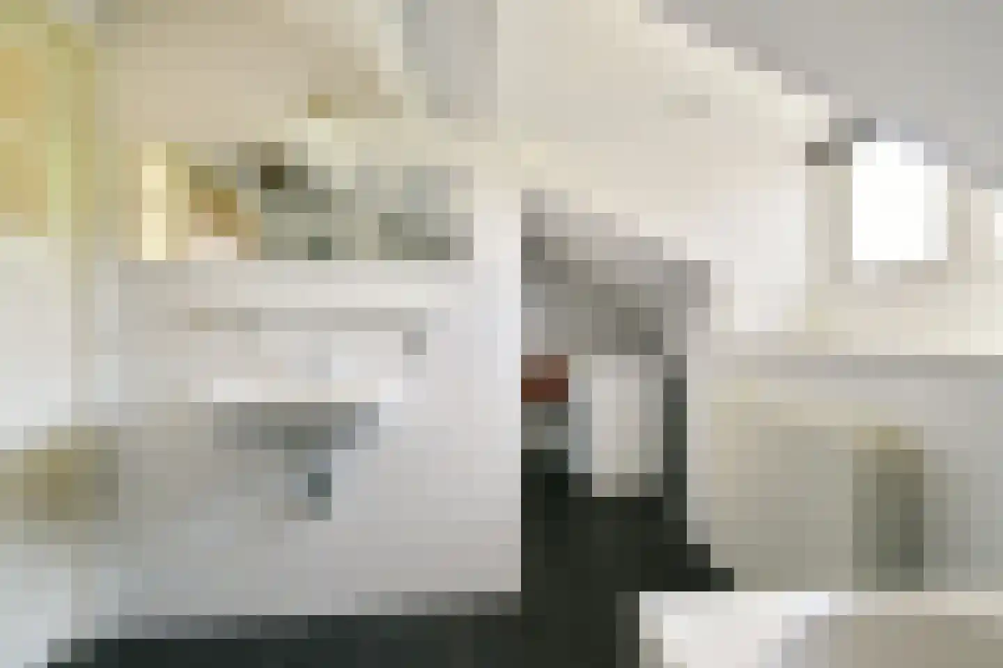 Heemraadstraat 5 Vlaardingen thumbnail 22