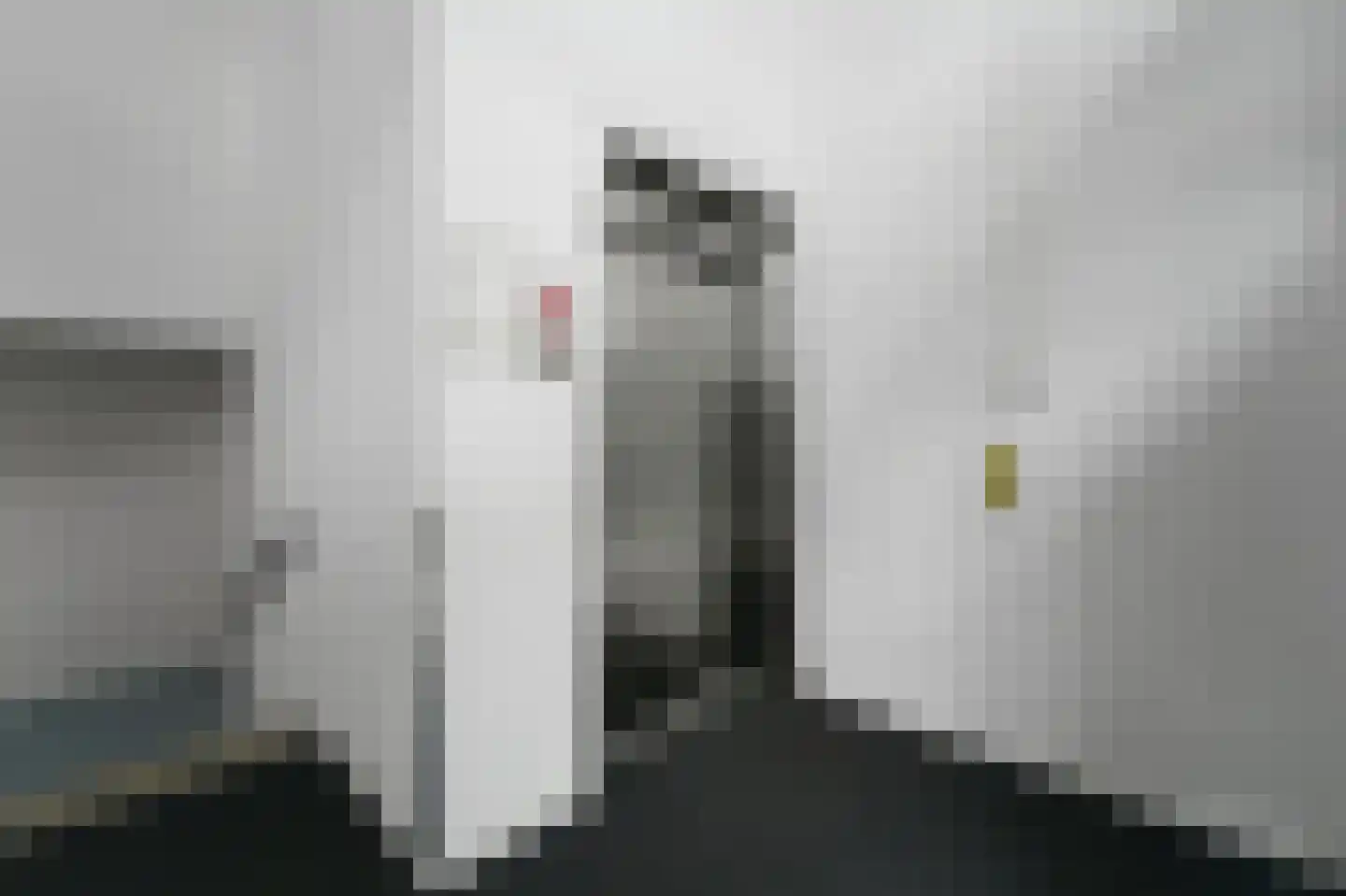 Heemraadstraat 52 Rijswijk thumbnail 12