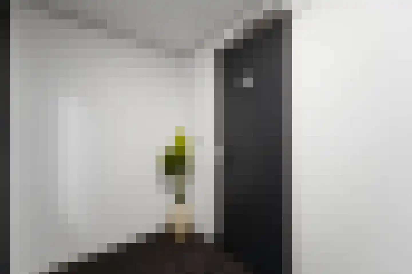 Heemraadstraat 52 Rijswijk thumbnail 13