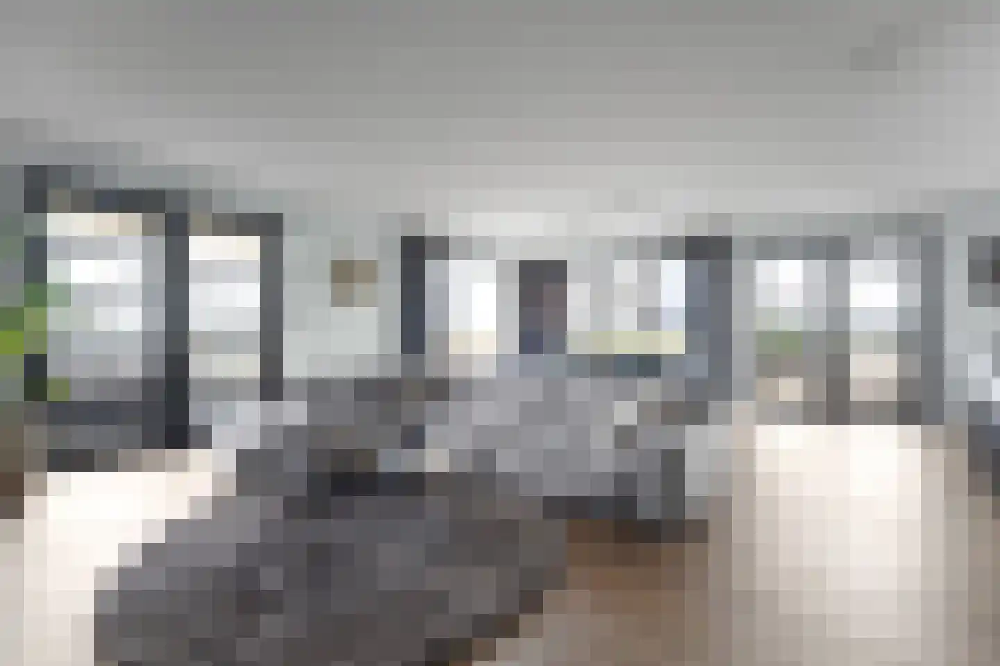 Heemraadstraat 52 Rijswijk thumbnail 15
