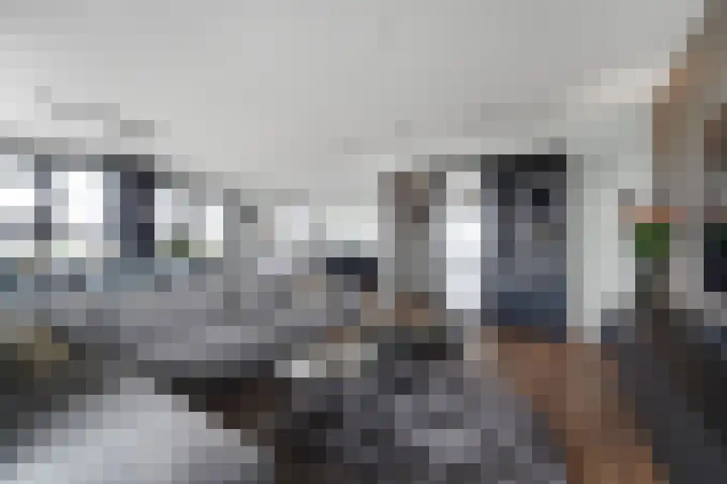 Heemraadstraat 52 Rijswijk thumbnail 16