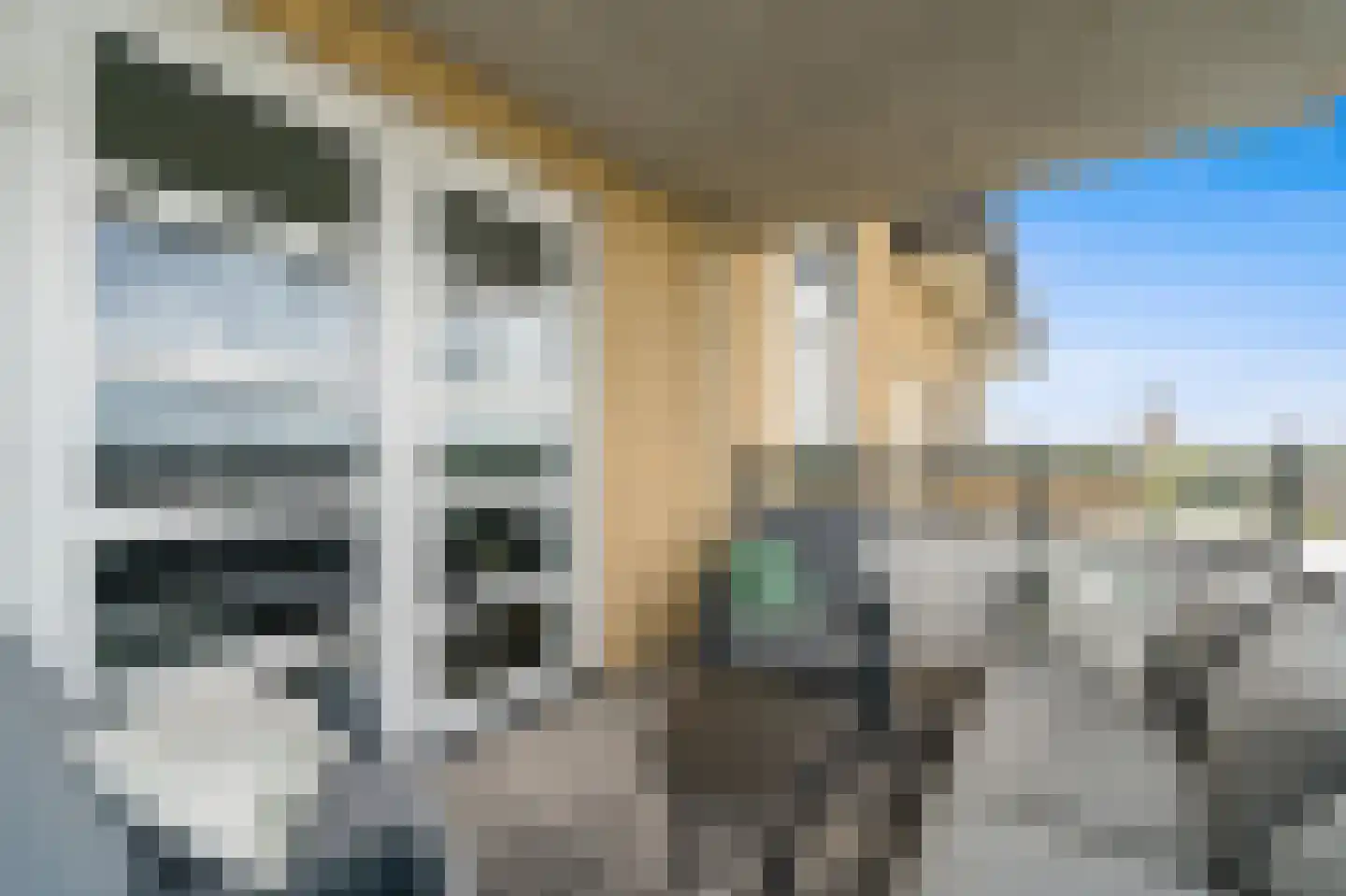 Heemraadstraat 52 Rijswijk thumbnail 19