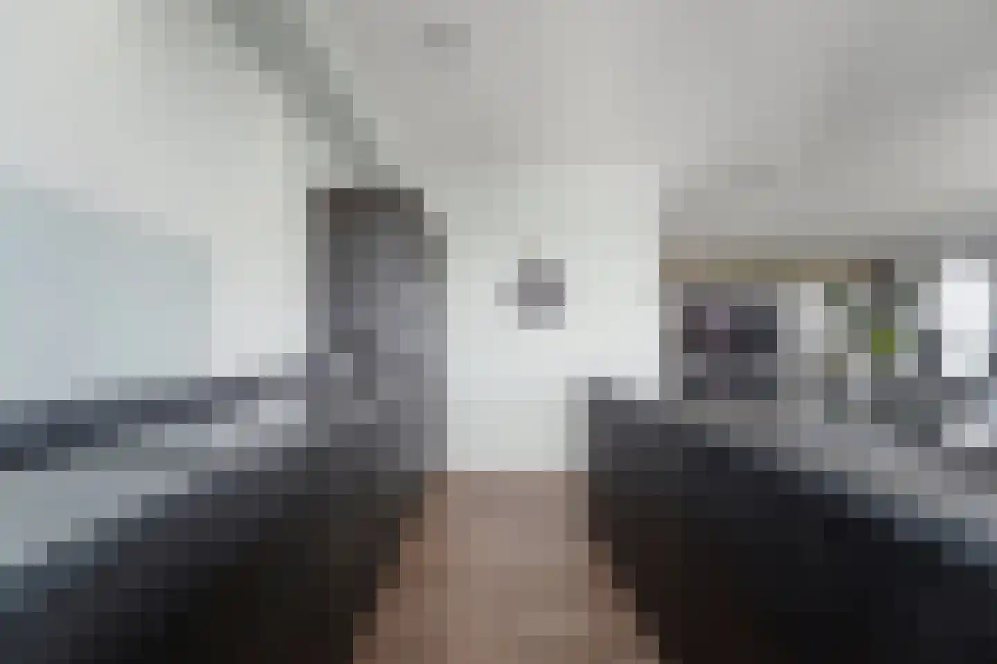 Heemraadstraat 52 Rijswijk thumbnail 29