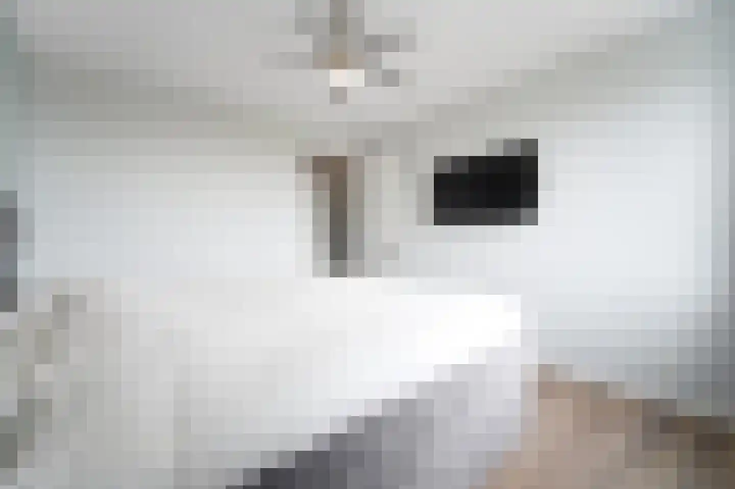 Heemraadstraat 52 Rijswijk thumbnail 34