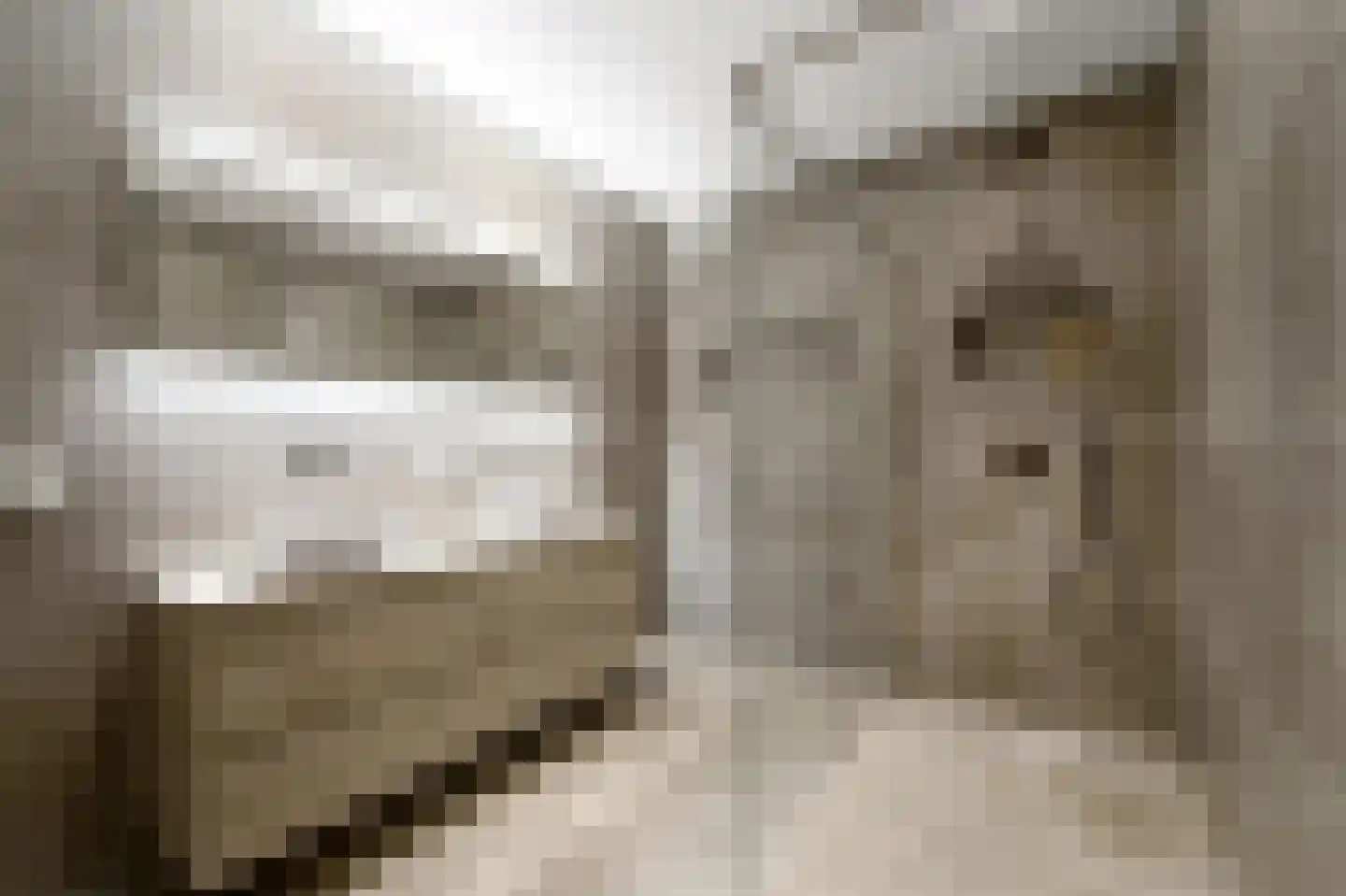 Heemraadstraat 52 Rijswijk thumbnail 36