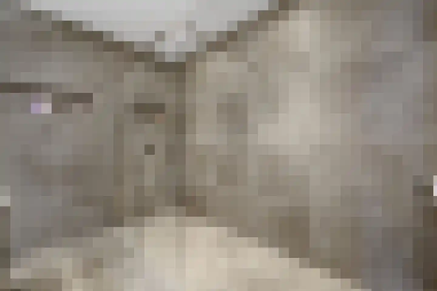 Heemraadstraat 52 Rijswijk thumbnail 38
