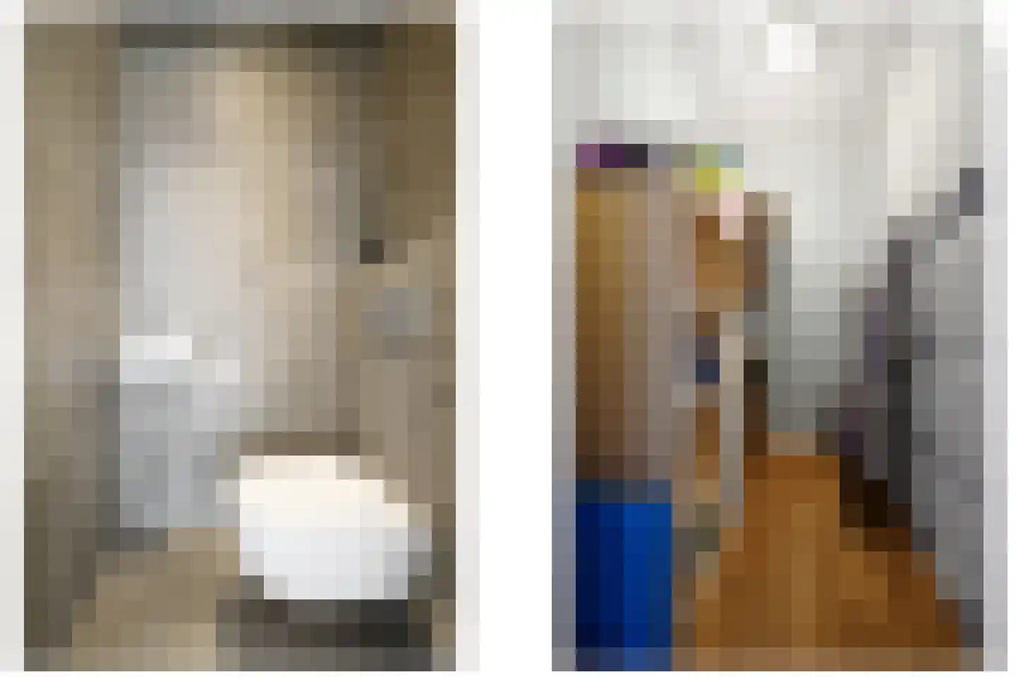 Heemraadstraat 52 Rijswijk thumbnail 39