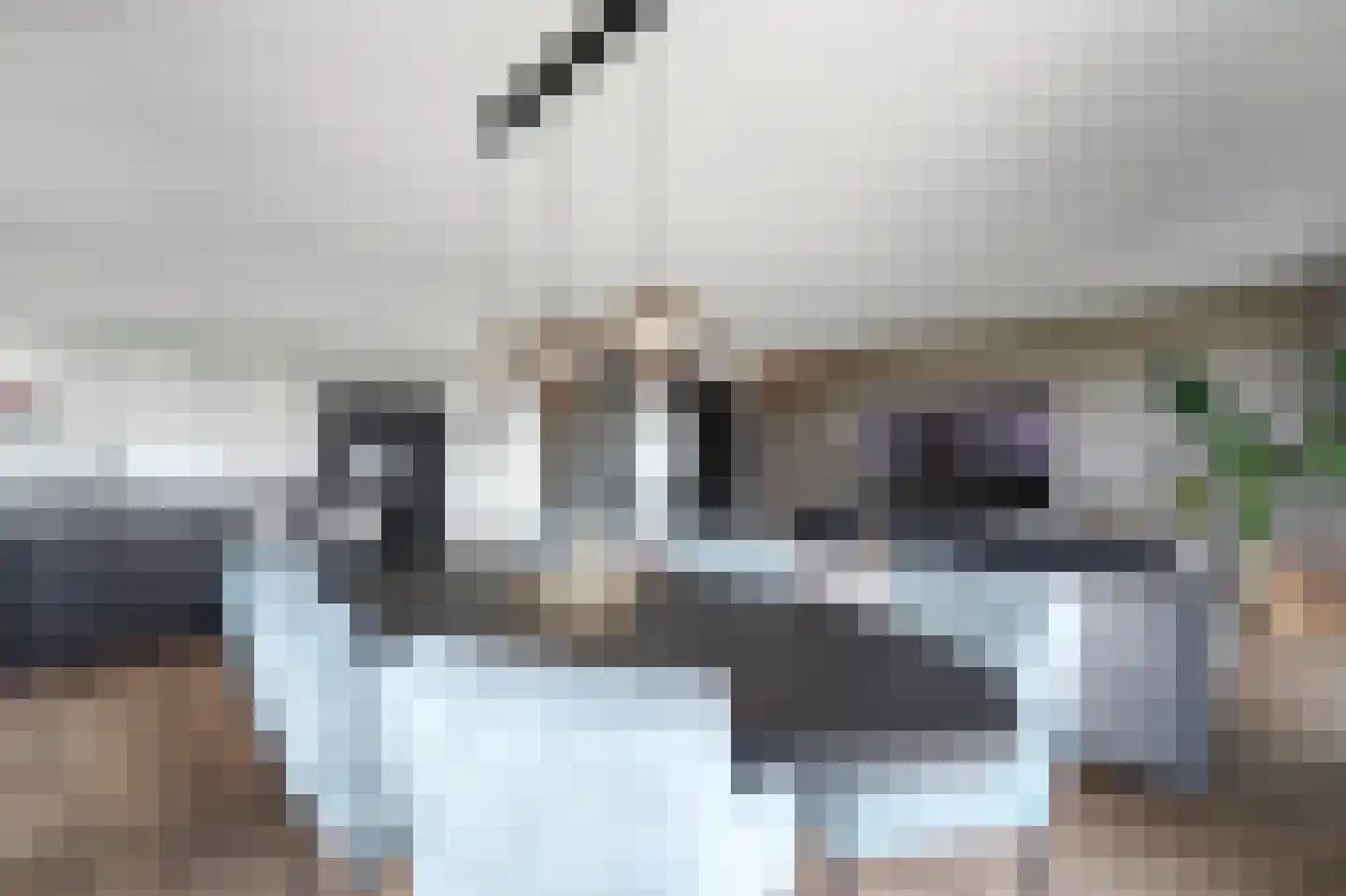 Heemraadstraat 52 Rijswijk thumbnail 4