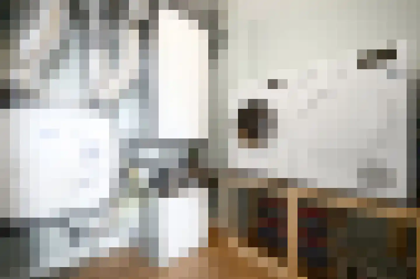 Heemraadstraat 52 Rijswijk thumbnail 40