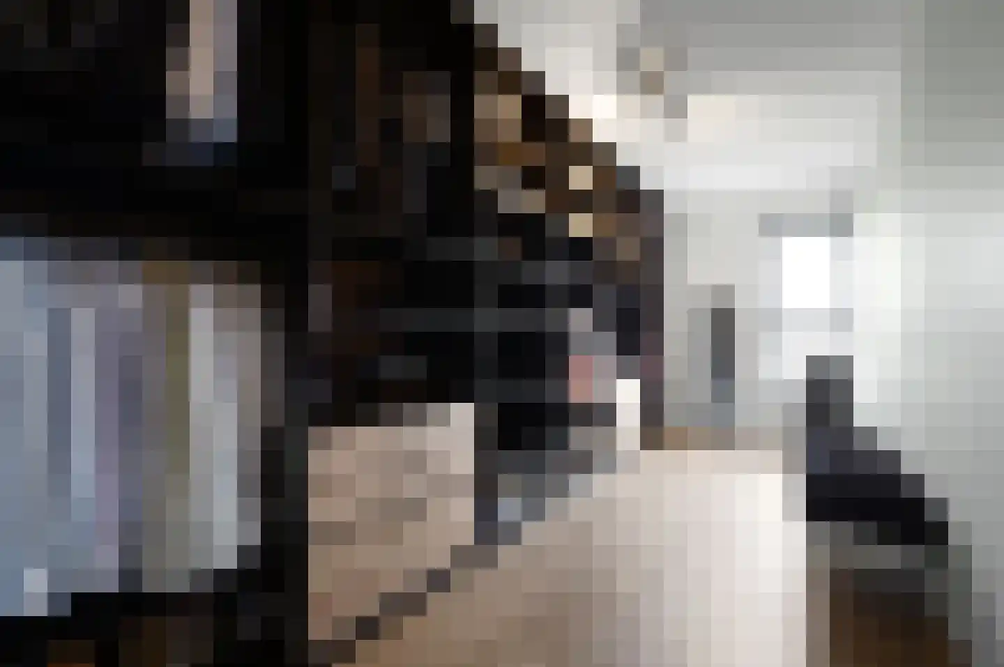 Heemraadstraat 52 Rijswijk thumbnail 41