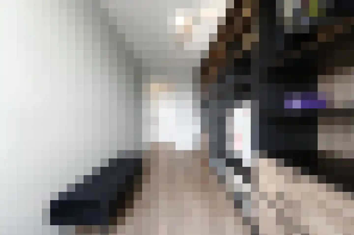 Heemraadstraat 52 Rijswijk thumbnail 42