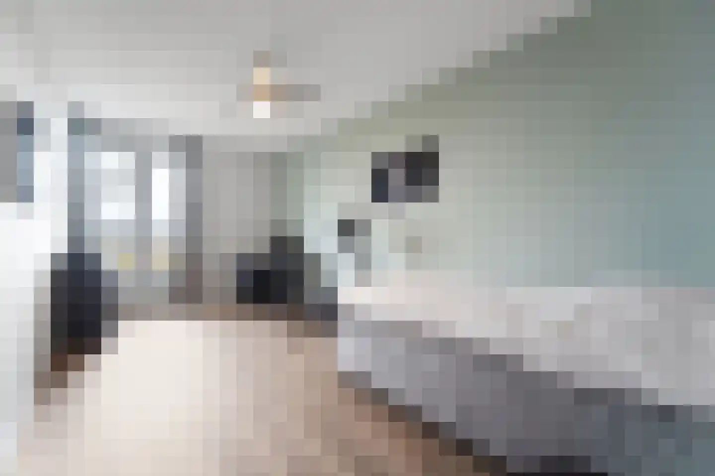 Heemraadstraat 52 Rijswijk thumbnail 44