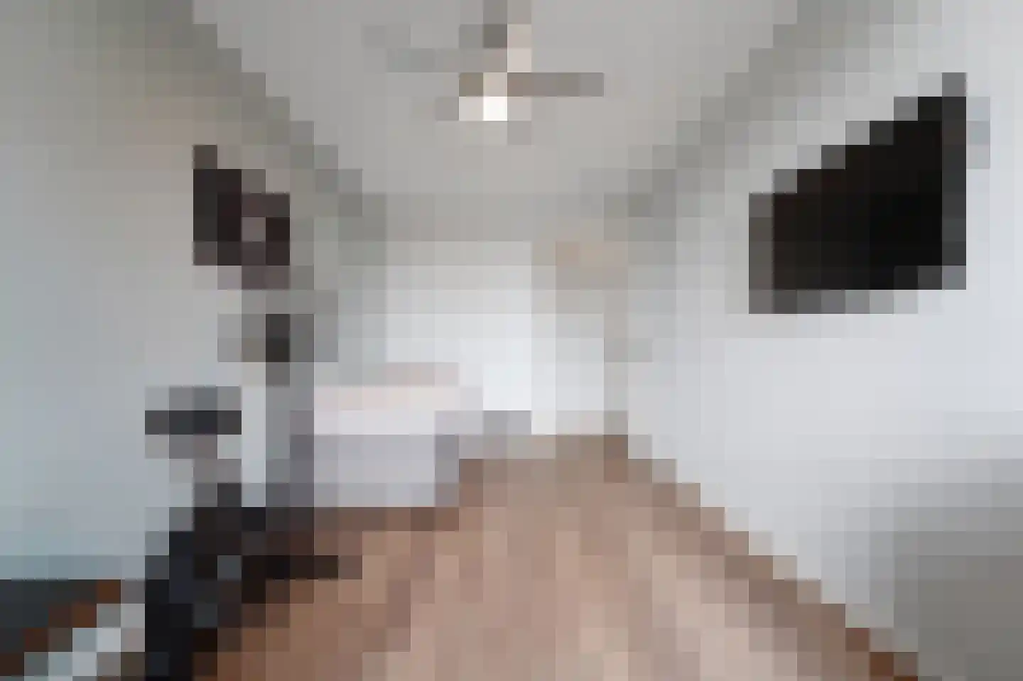 Heemraadstraat 52 Rijswijk thumbnail 45