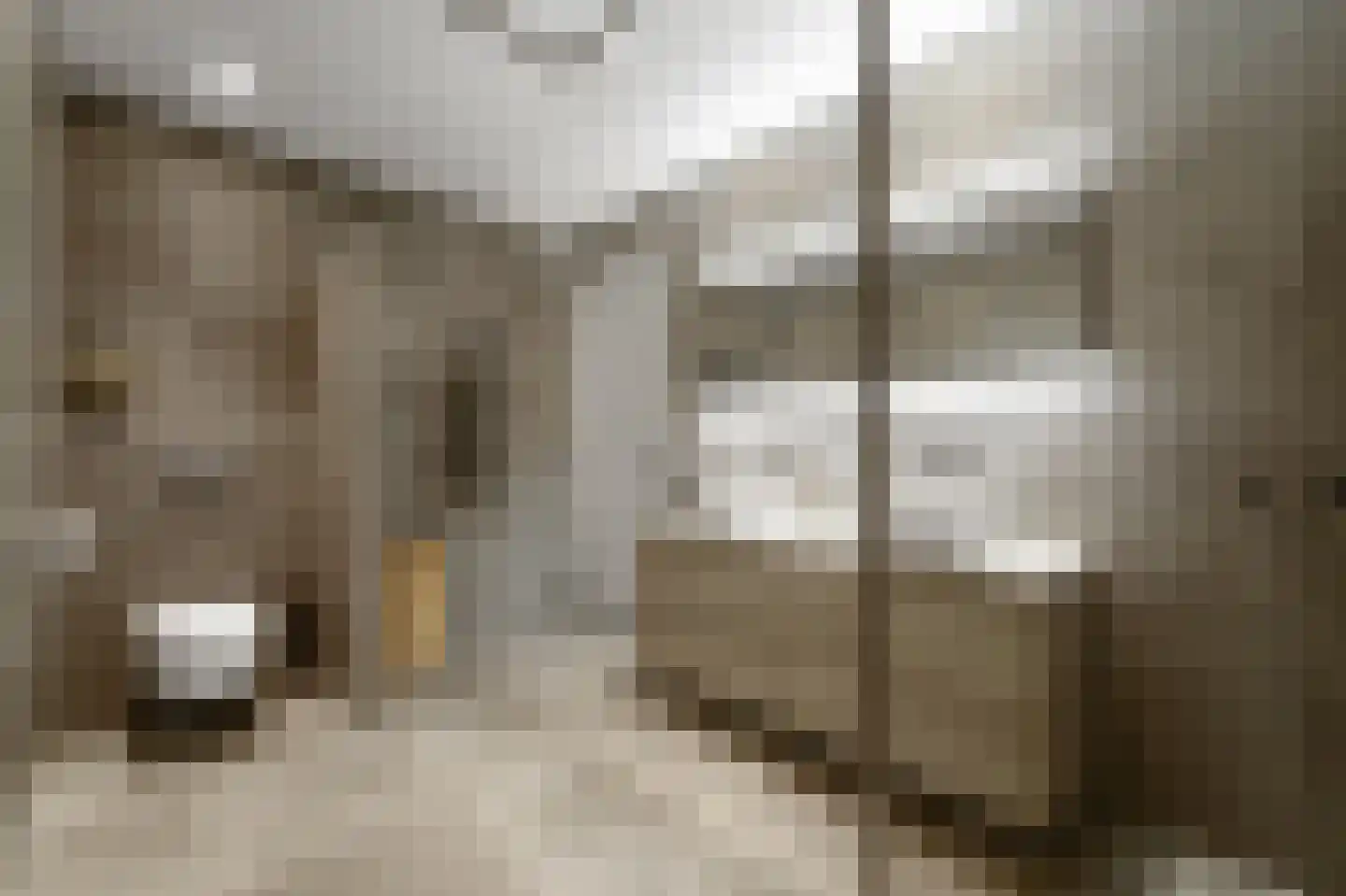 Heemraadstraat 52 Rijswijk thumbnail 6