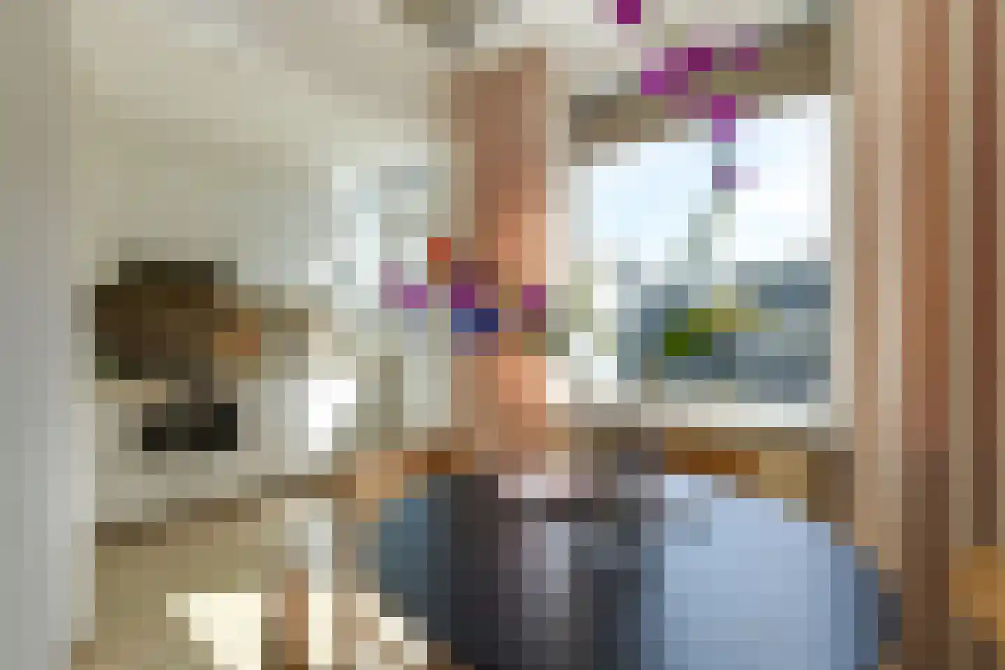 Heemraadstraat 7 Alkmaar thumbnail 18