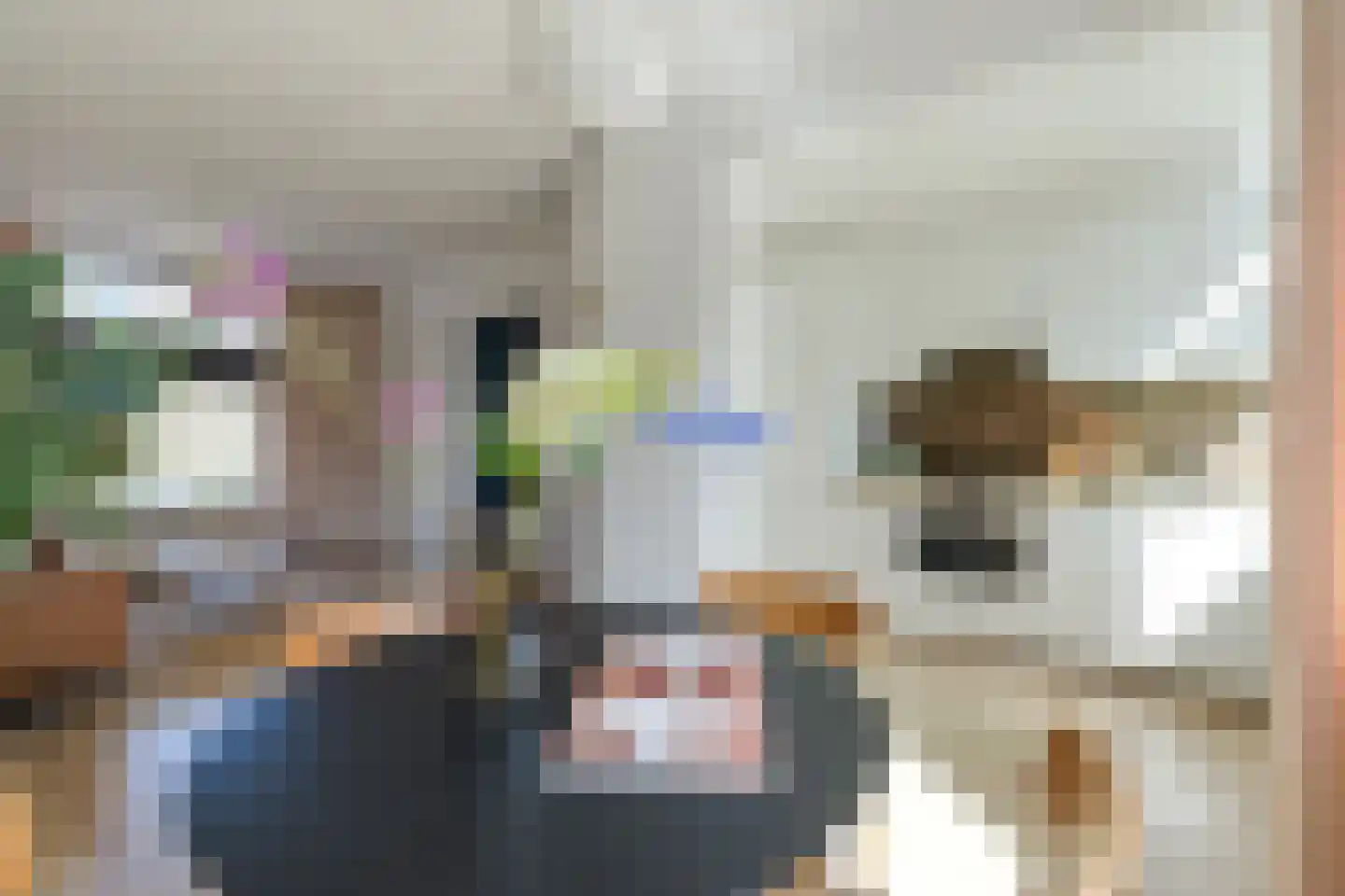 Heemraadstraat 7 Alkmaar thumbnail 19