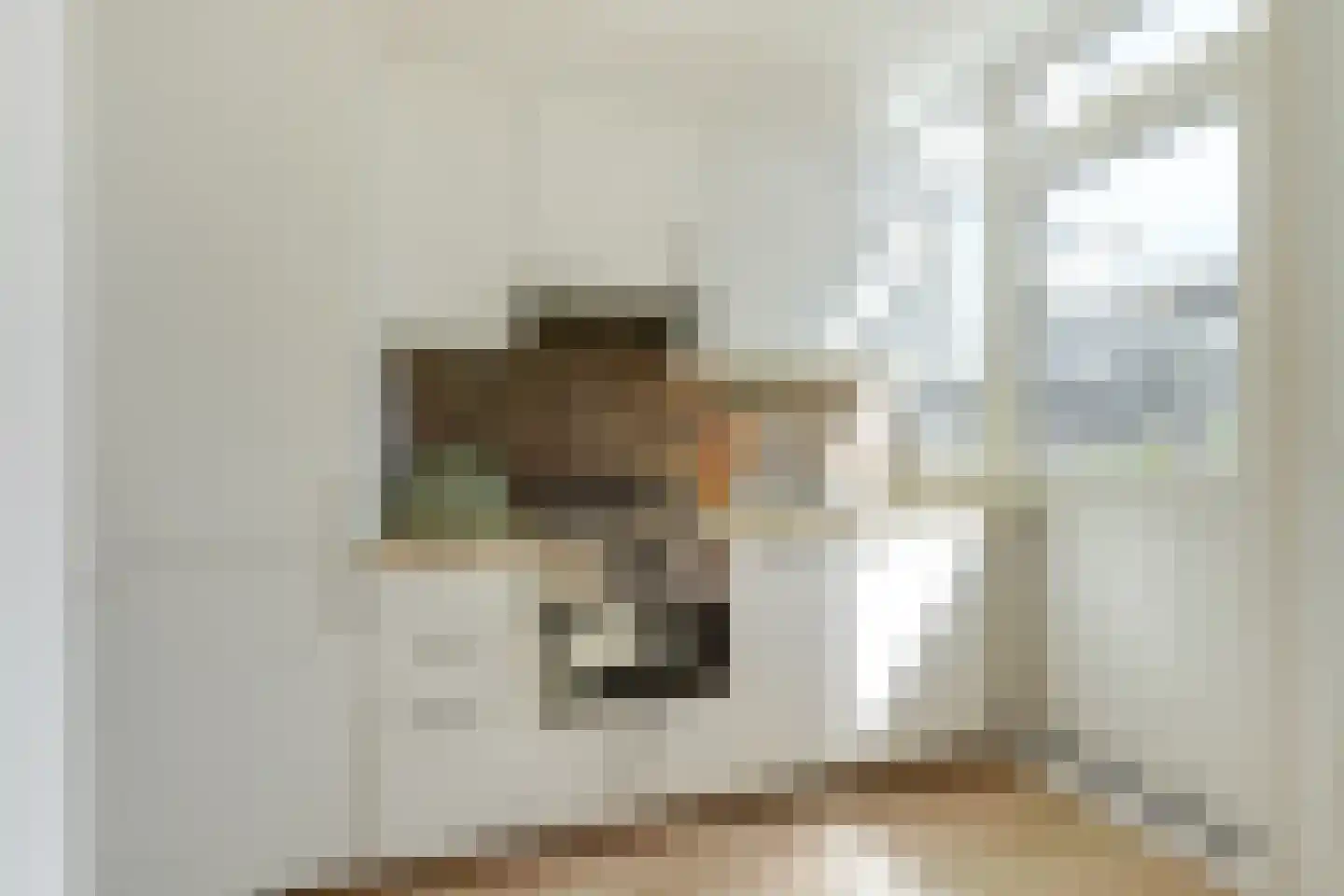 Heemraadstraat 7 Alkmaar thumbnail 22