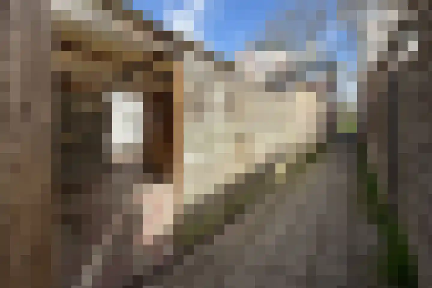Heemraadstraat 7 Alkmaar thumbnail 29