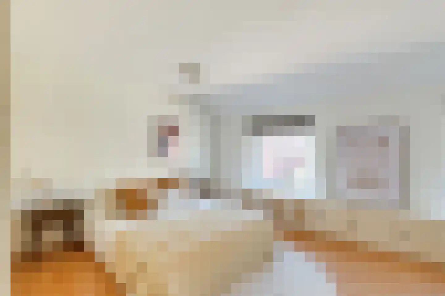 Heemraadstraat 7 Alkmaar thumbnail 39