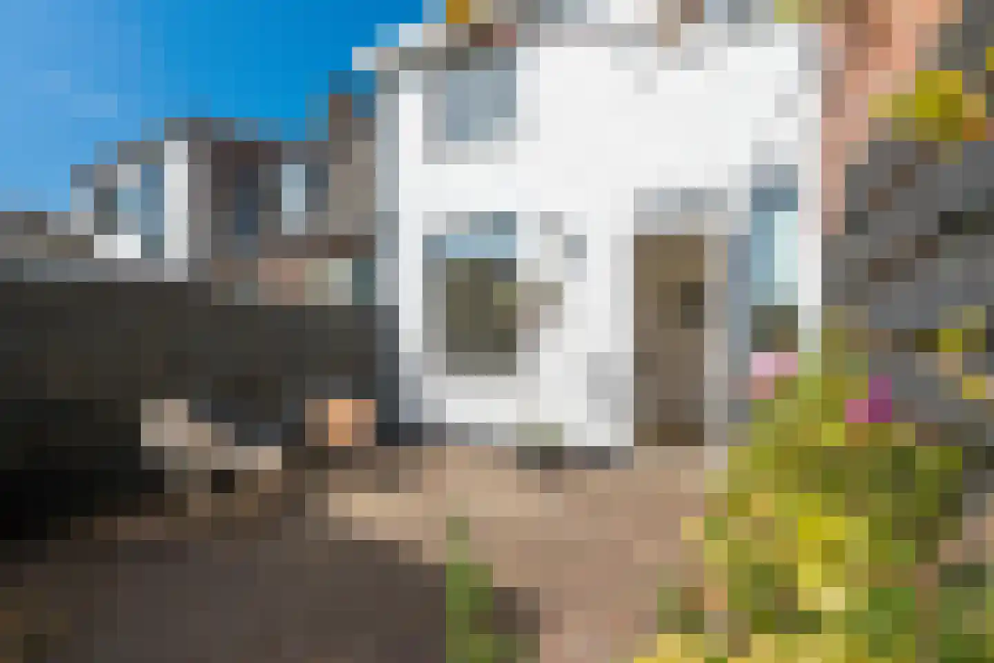 Heemraadstraat 7 Alkmaar thumbnail 4