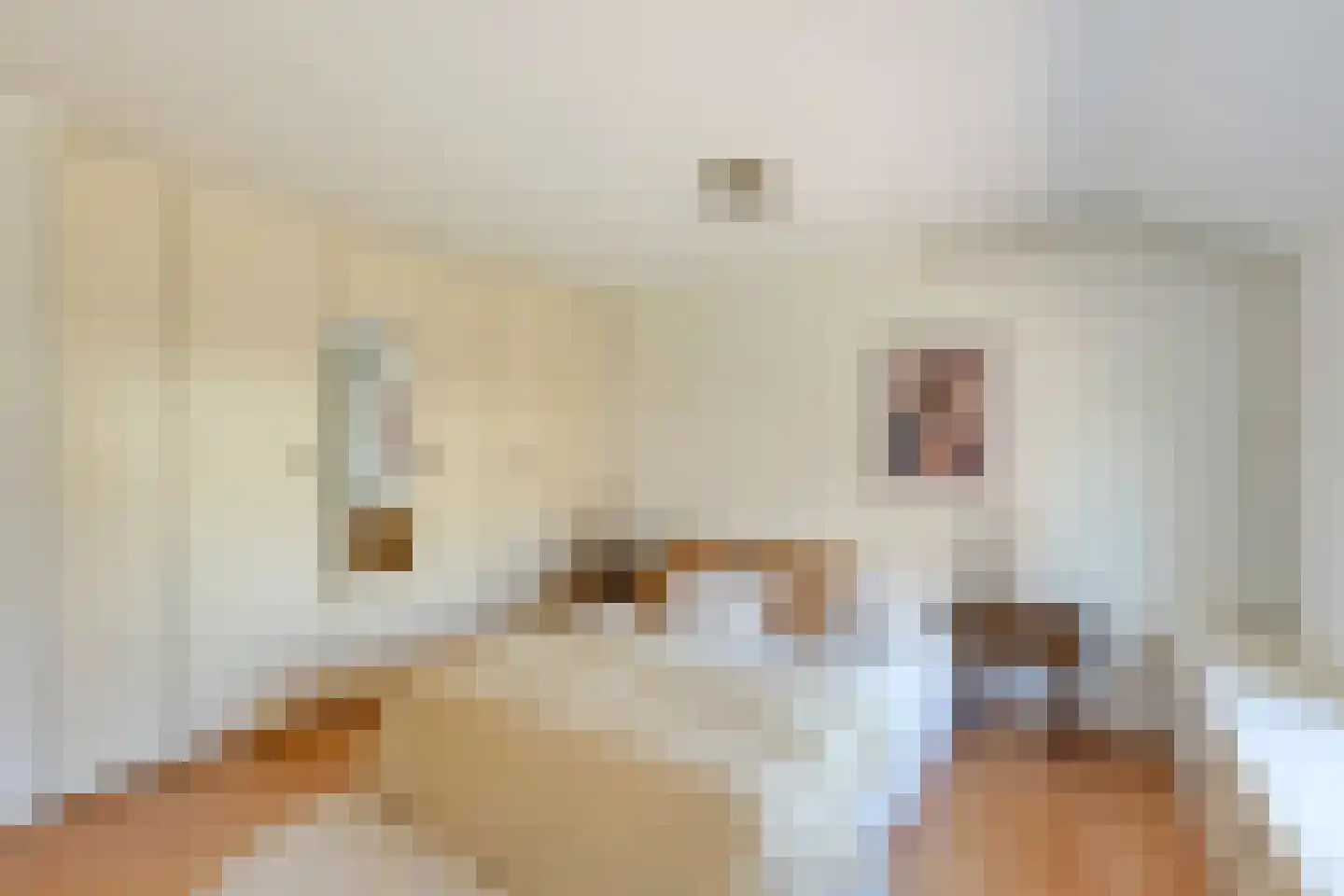 Heemraadstraat 7 Alkmaar thumbnail 41
