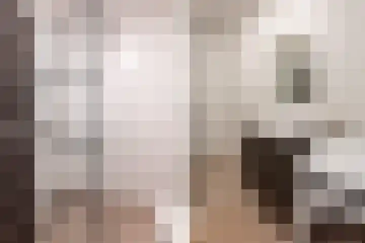 Heemraadstraat 86 Rijswijk thumbnail 20