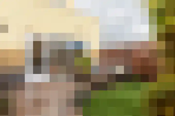 Heemraadstraat 86 Rijswijk thumbnail 7