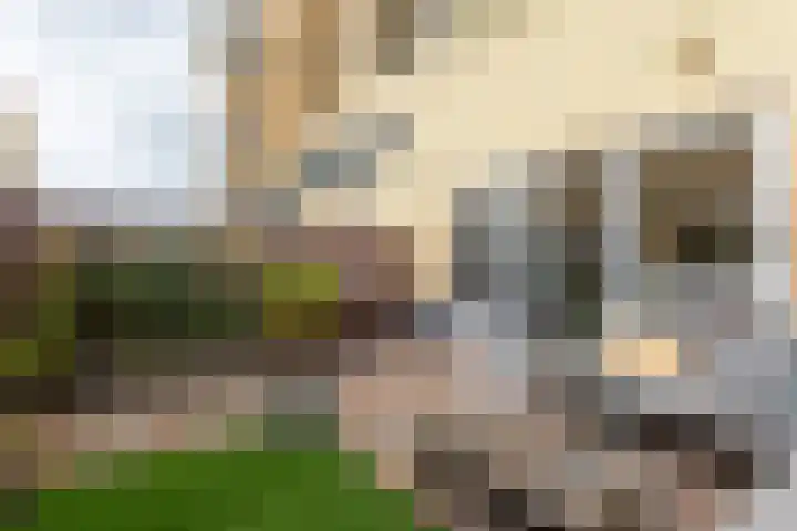 Heemraadstraat 86 Rijswijk thumbnail 8