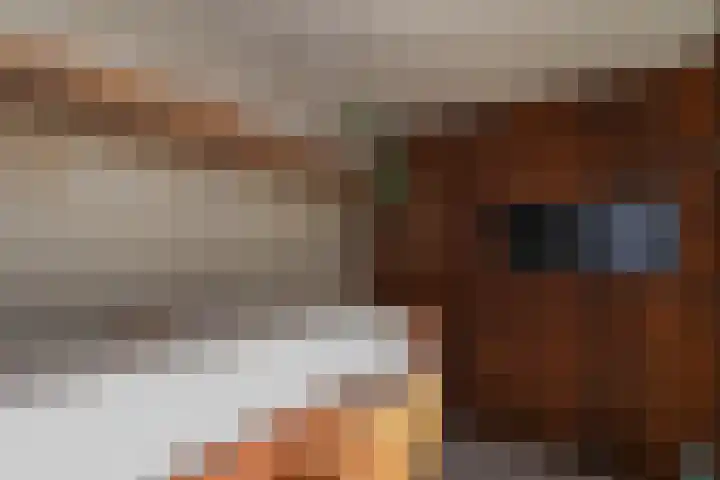 Heemraadstraat 9 Bunschoten-Spakenburg thumbnail 34