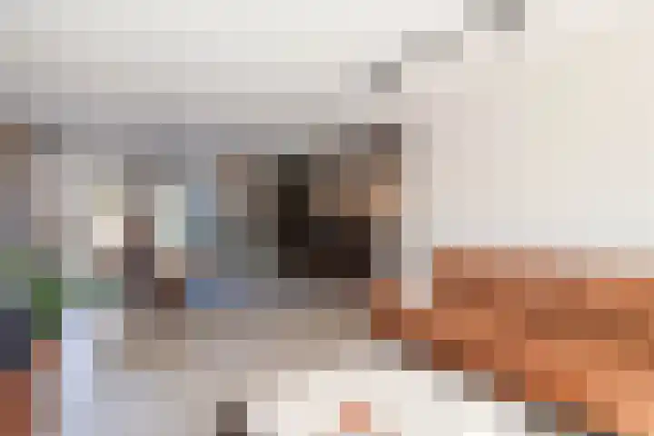 Heemraadstraat 9 Bunschoten-Spakenburg thumbnail 9
