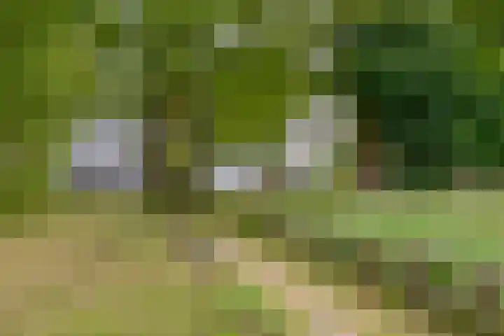 Heemraadweg 125 Weesp thumbnail 11